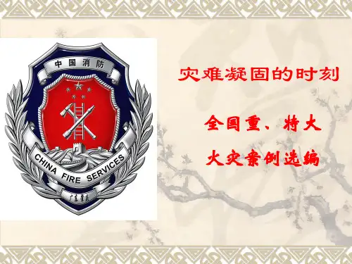 全国重特大火灾案例选编
