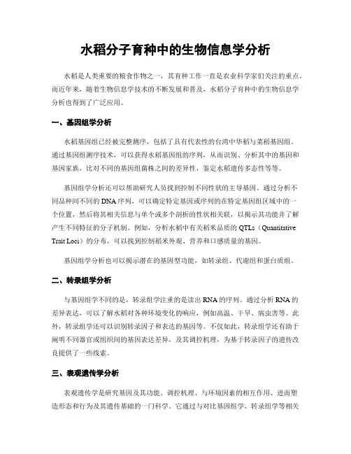 水稻分子育种中的生物信息学分析