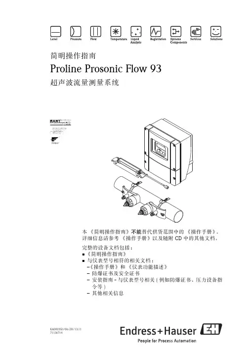 E+H超声波流量计93中文简明操作手册