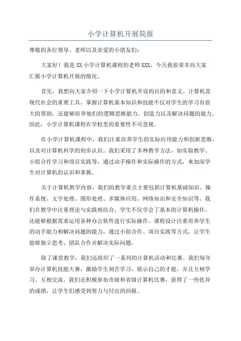 小学计算机开展简报