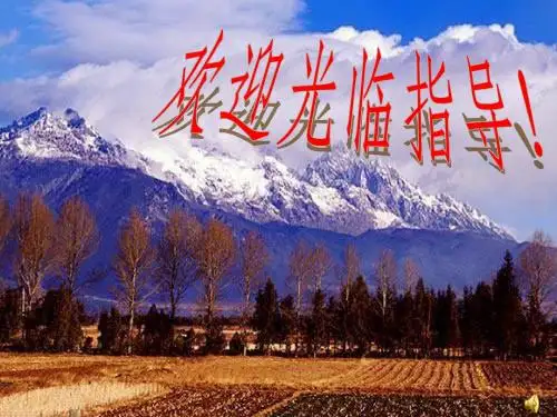 高一物理牛顿第一定律1