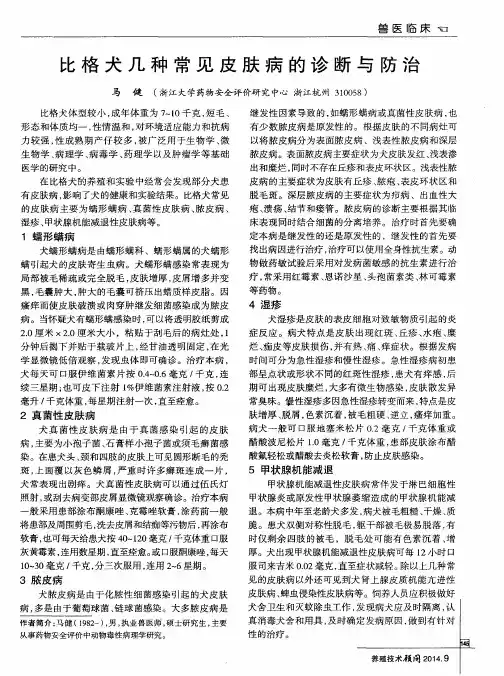 比格犬几种常见皮肤病的诊断与防治