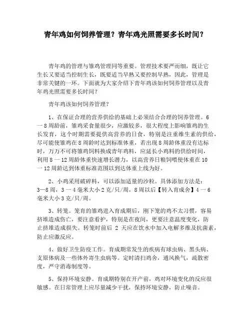 青年鸡如何饲养管理？青年鸡光照需要多长时间？