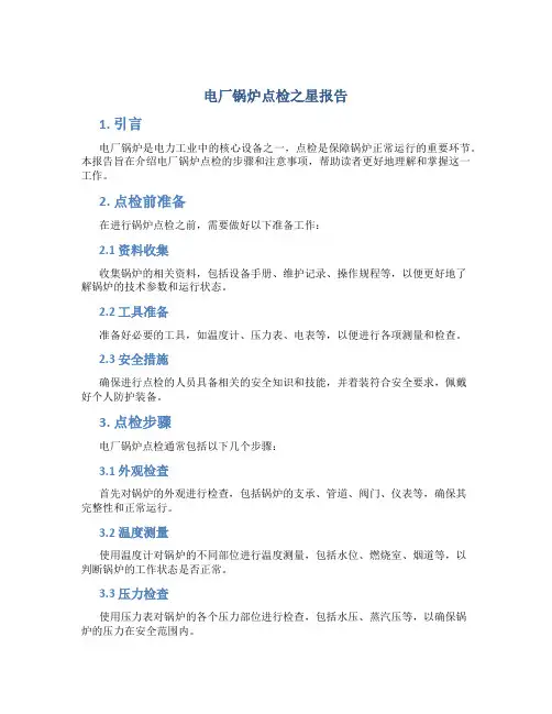 电厂锅炉点检之星报告