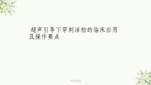 超声引导下穿刺活检的临床应用及操作要点课件
