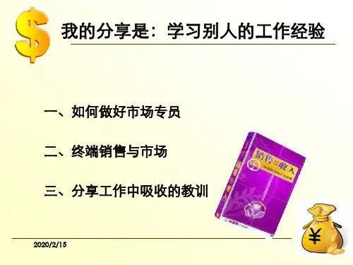 个人工作经验分享PPT幻灯片