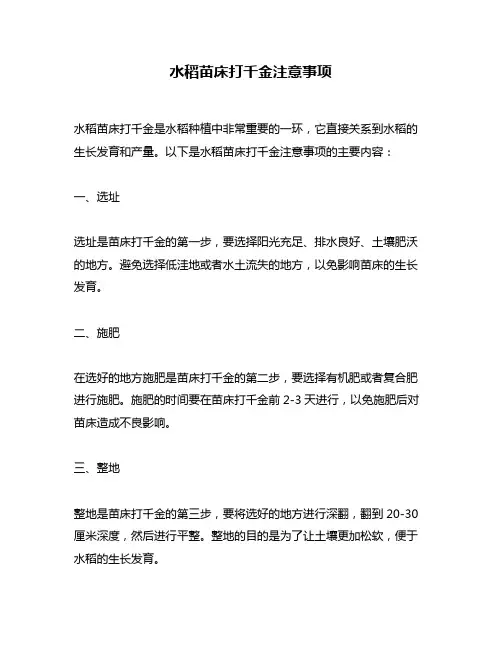 水稻苗床打千金注意事项