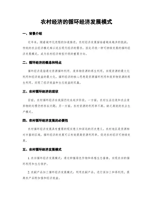 农村经济的循环经济发展模式