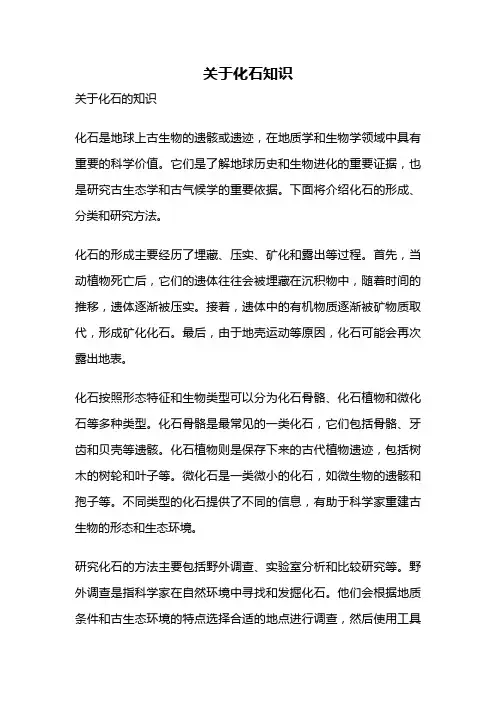 关于化石知识