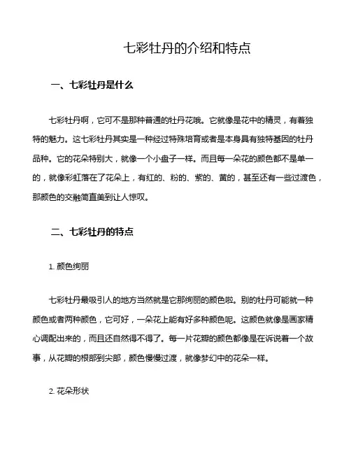 七彩牡丹的介绍和特点
