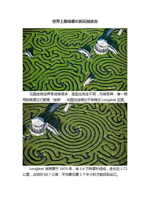 世界上路线最长的花园迷宫