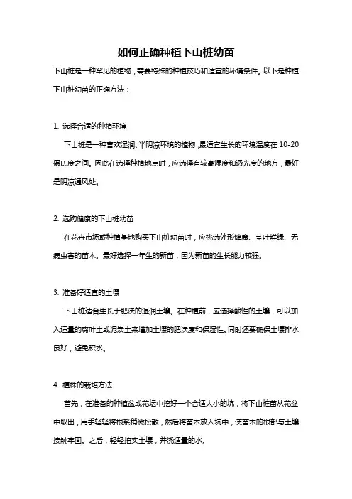 如何正确种植下山桩幼苗