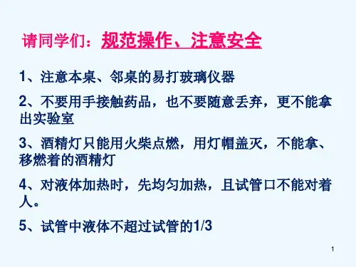 高中化学 常见物质的检验课件 苏教版必修1[001]