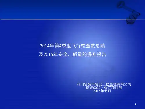 精选总结-2014年4季度飞检工作总结(监理单位)