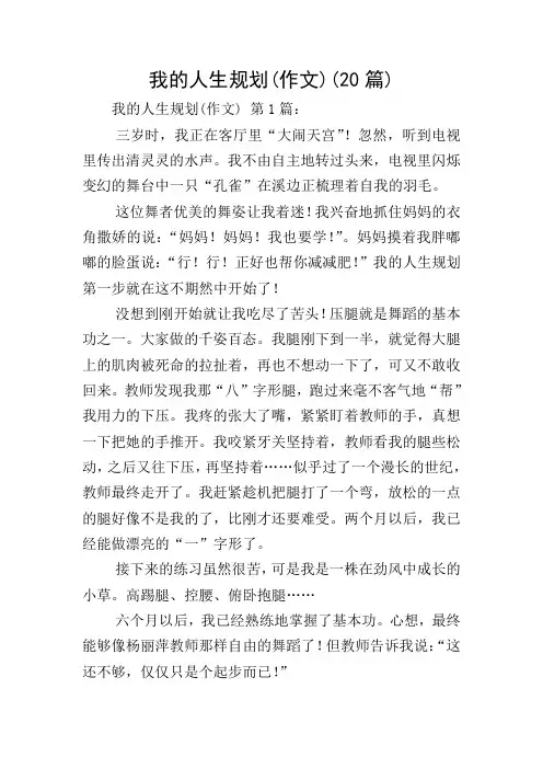 我的人生规划(作文)(20篇)