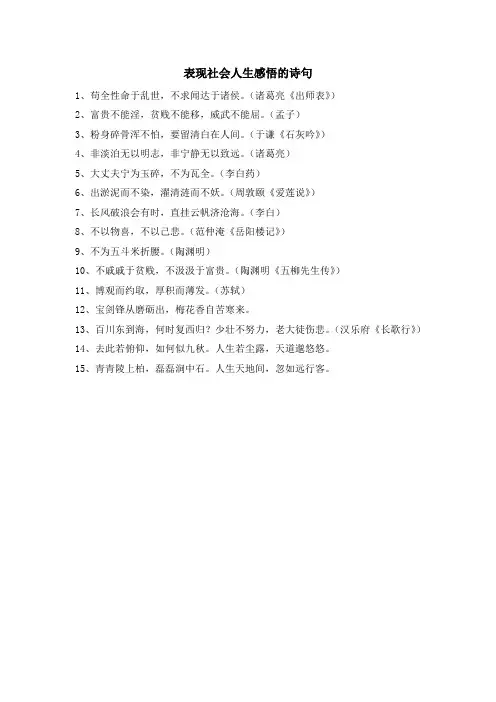 表现社会人生感悟的诗句