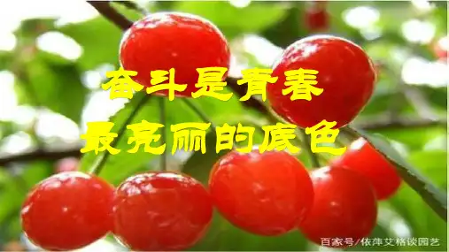 奋斗是青春最亮丽的底色(9张ppt)