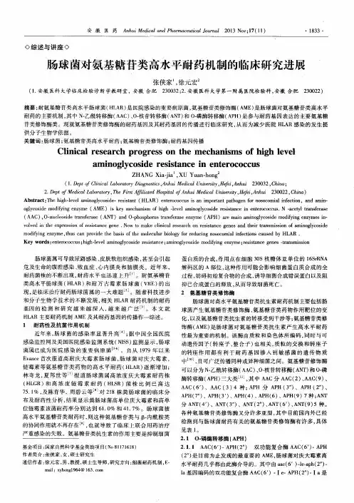 肠球菌对氨基糖苷类高水平耐药机制的临床研究进展