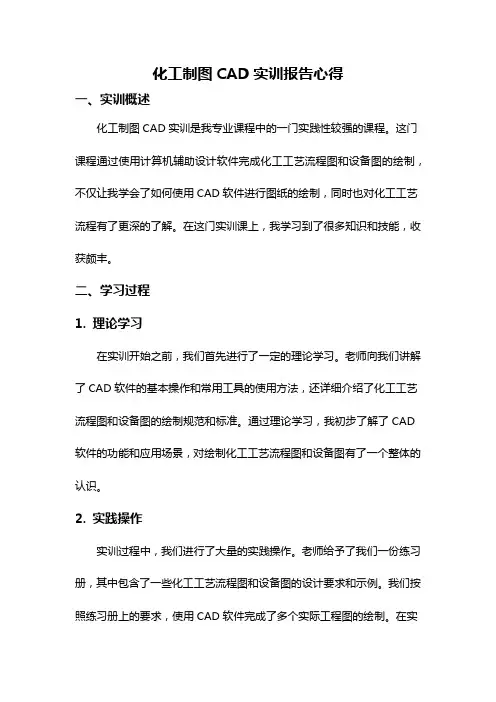 化工制图CAD实训报告心得