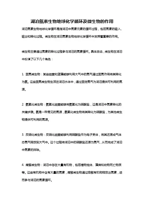 湖泊氮素生物地球化学循环及微生物的作用