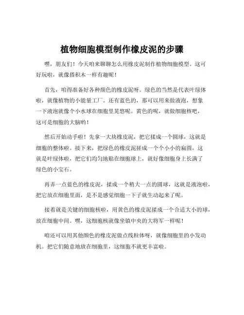 植物细胞模型制作橡皮泥的步骤