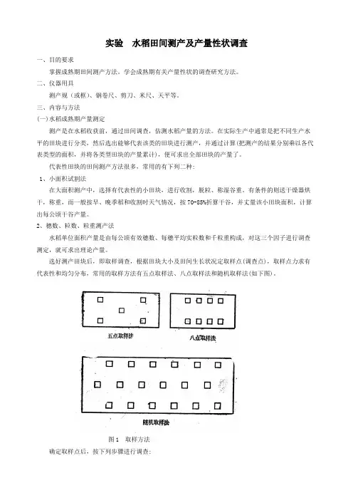 实验  水稻田间测产及产量性状调查