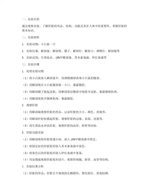 肝的观察实验报告
