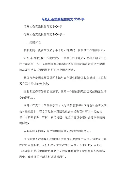 毛概社会实践报告例文3000字
