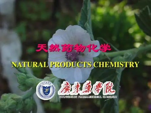 第九章 生物碱