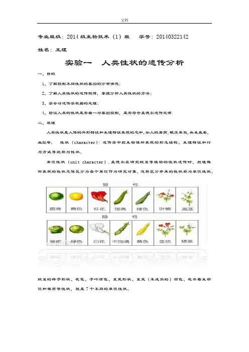 实验一：人类性状遗传分析报告