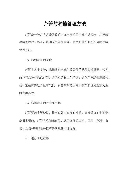 芦笋的种植管理方法