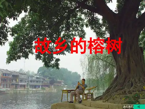 【高中语文】故乡的榕树ppt精品课件48