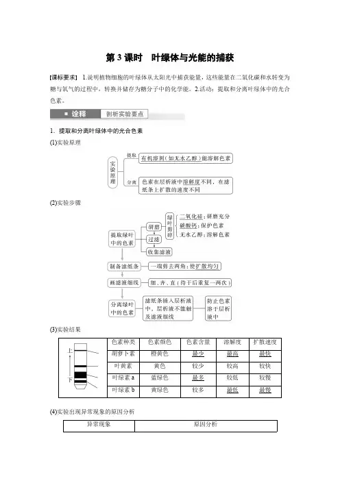 2024届高考一轮复习生物教案(苏教版)：叶绿体与光能的捕获