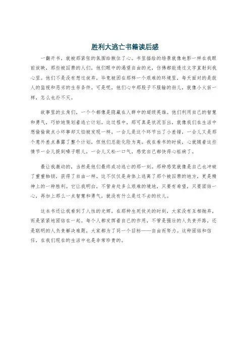 胜利大逃亡书籍读后感