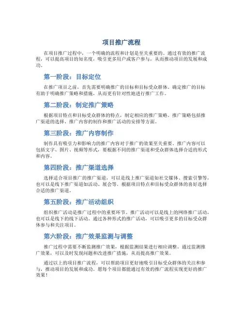 项目推广流程