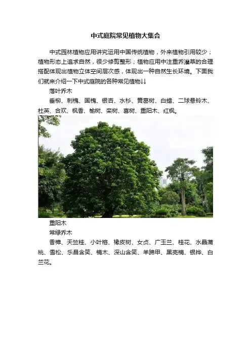 中式庭院常见植物大集合