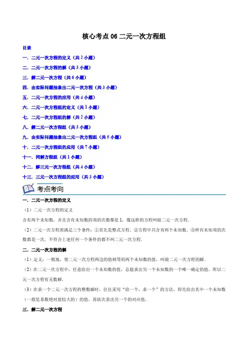 核心考点06二元一次方程组(原卷版)