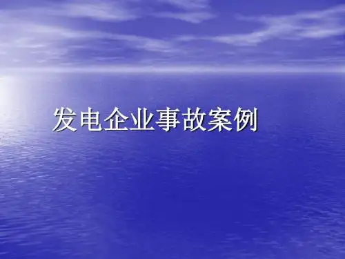 发电企业事故的案例-PPT文档资料