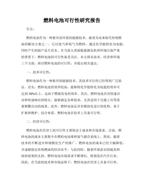 燃料电池可行性研究报告