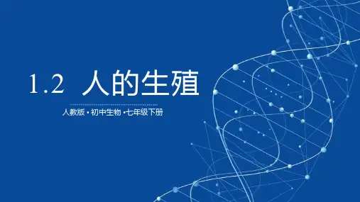 《人的生殖》PPT优质课件
