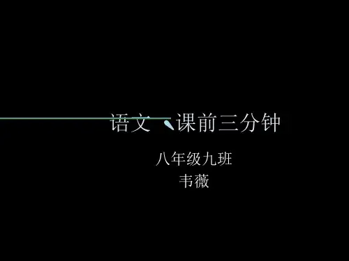 语文课件有趣的成语
