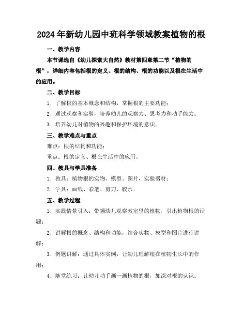 2024年新幼儿园中班科学领域教案植物的根