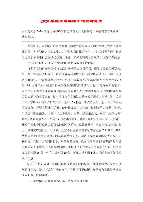 2020年统计局年终工作总结范文
