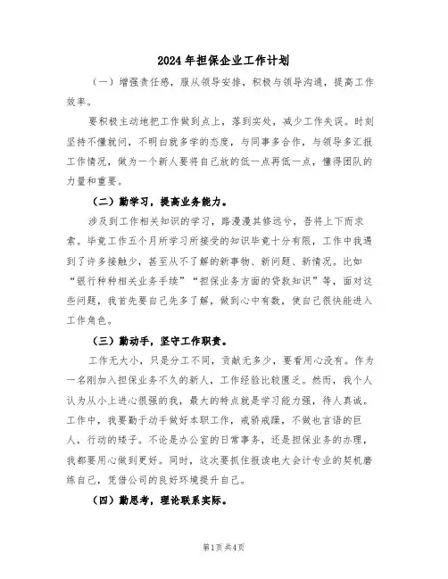 2024年担保企业工作计划(二篇)