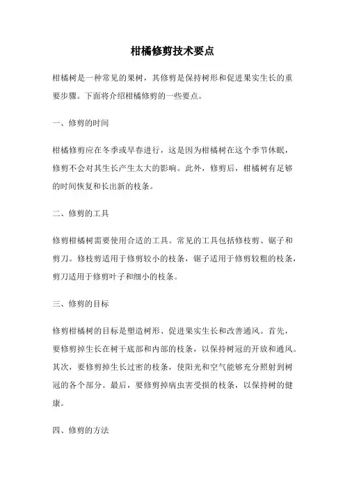 柑橘修剪技术要点