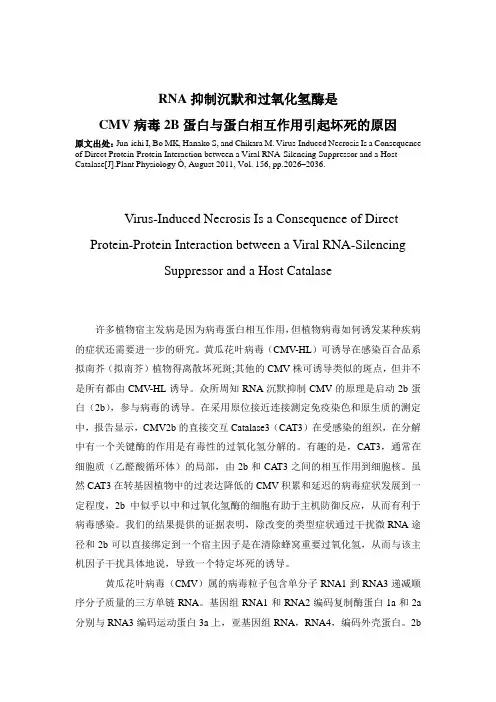RNA抑制沉默和过氧化氢酶是CMV病毒2B蛋白与蛋白相互作用引起坏死的原因