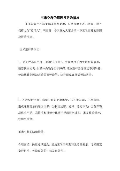 玉米空秆的原因及防治措施.doc