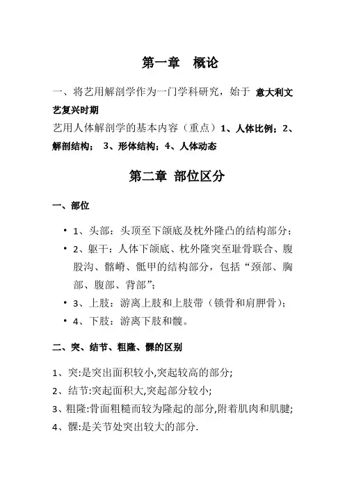 湖北民族学院艺用人体解剖复习总结