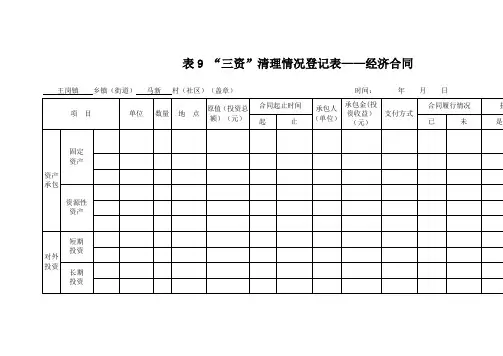 表9 三资清理情况登记表——经济合同