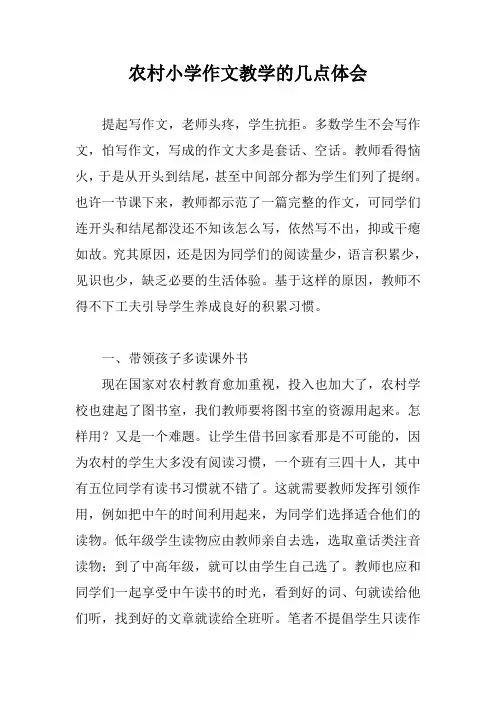 农村小学作文教学的几点体会